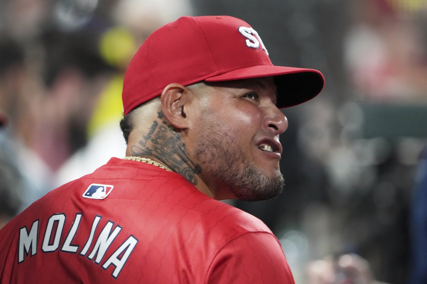 Pigs, furniture, appliances and a horse stolen from Yadier Molina property, Puerto Rican police say | iNFOnews.ca