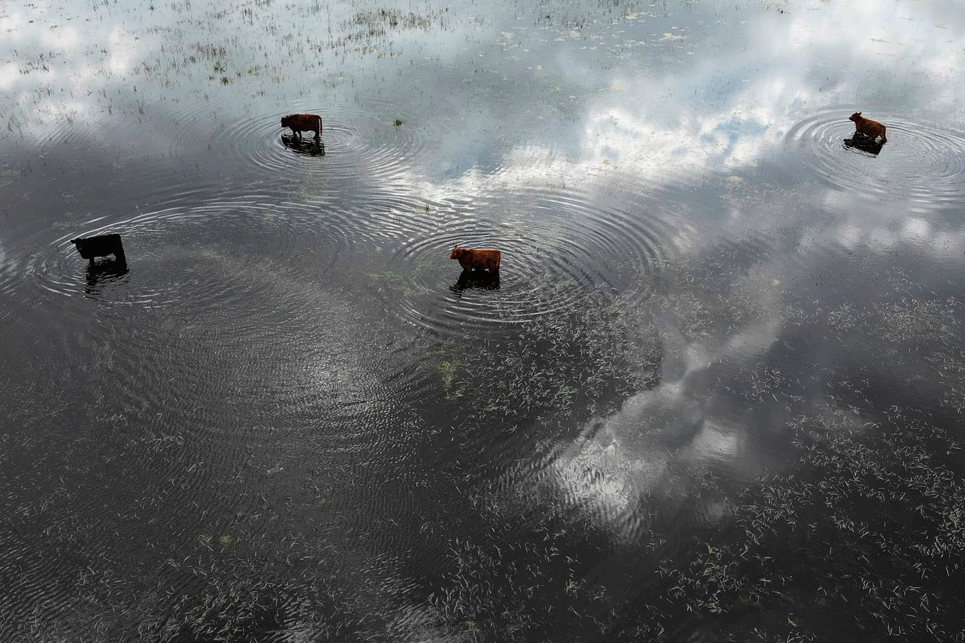 AP photographers capture destruction, heartache and resilience as climate change advanced in 2025 | iNFOnews.ca AP photographers capture destruction, heartache and resilience as climate change advanced in 2025 | iNFOnews.ca
