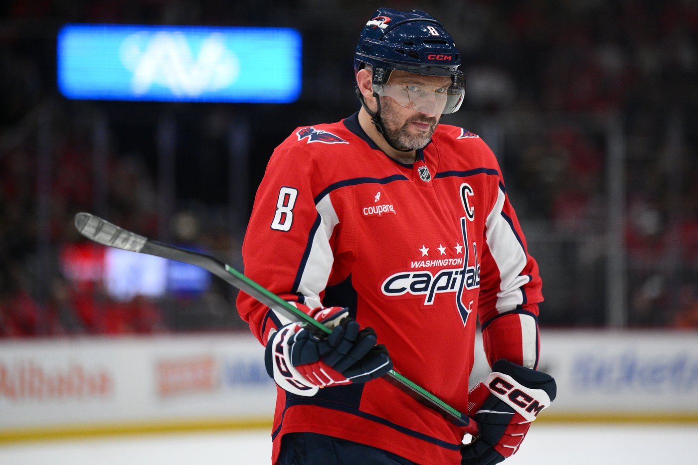 Pastrnak has a 3-point night in the Bruins' 3-1 victory over Ovechkin and the Capitals | iNFOnews.ca Pastrnak has a 3-point night in the Bruins' 3-1 victory over Ovechkin and the Capitals | iNFOnews.ca
