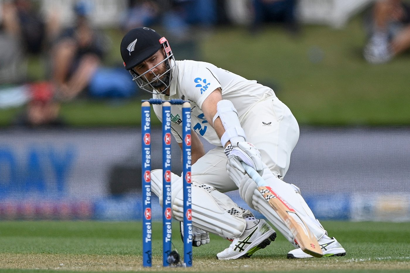 New Zealand is 17-1 at lunch after rain on the 1st day of the 1st test against the West Indies | iNFOnews.ca