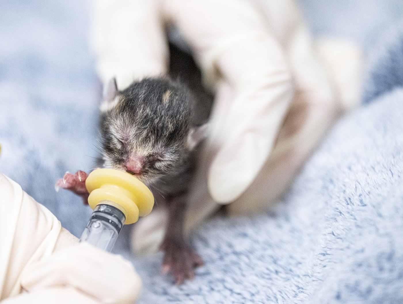 Photo Gallery: The year in photos 2025 | iNFOnews.ca