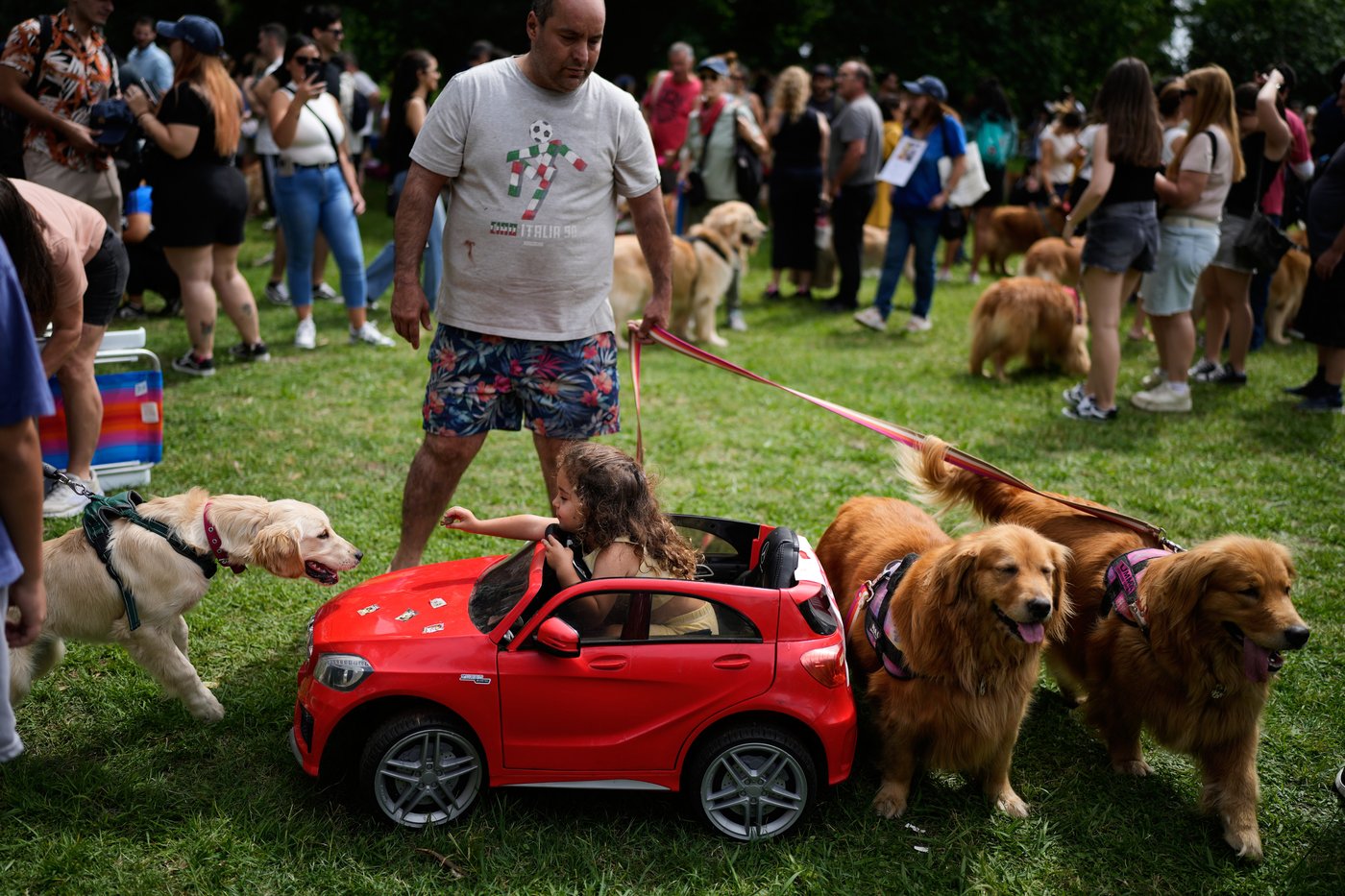 Photos of golden retrievers gathered in Buenos Aires for a world record attempt | iNFOnews.ca