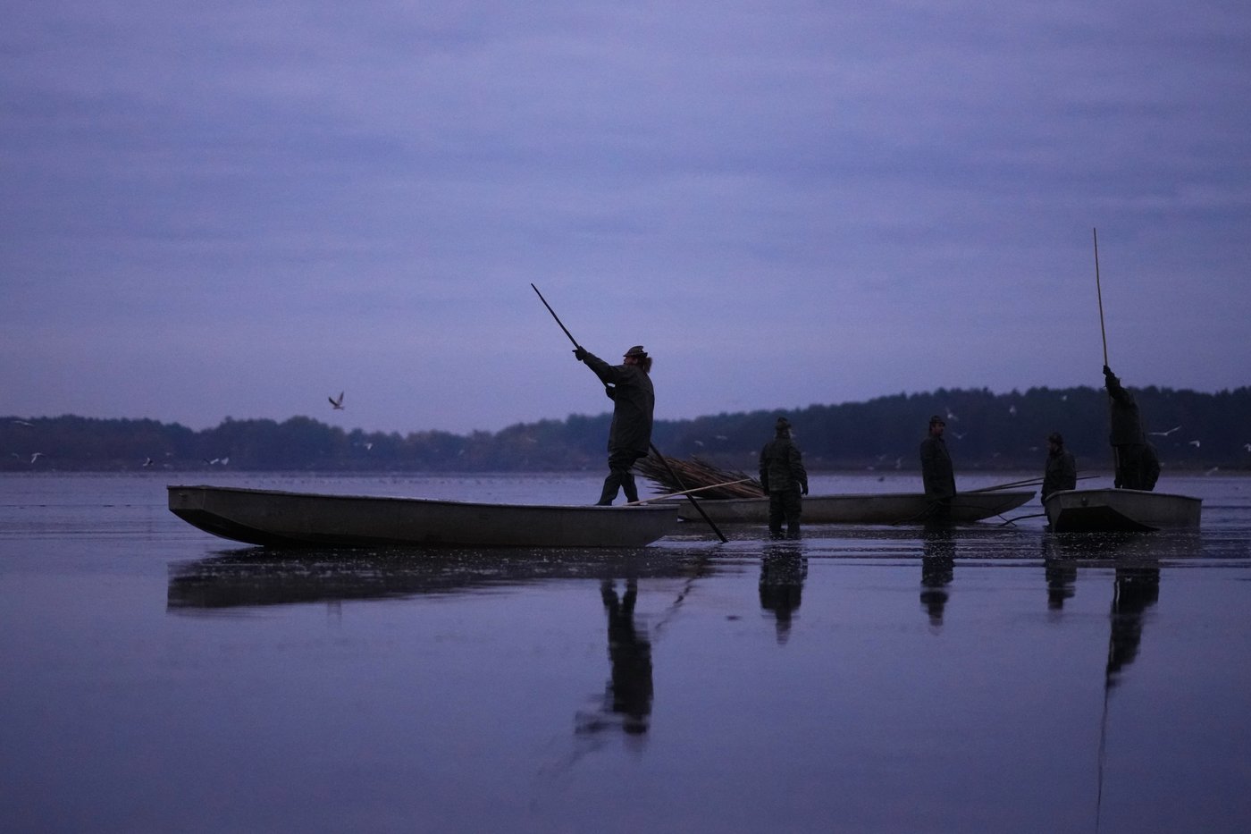 Photos show Czech fisherman hauling in Christmas carp for holiday tables | iNFOnews.ca