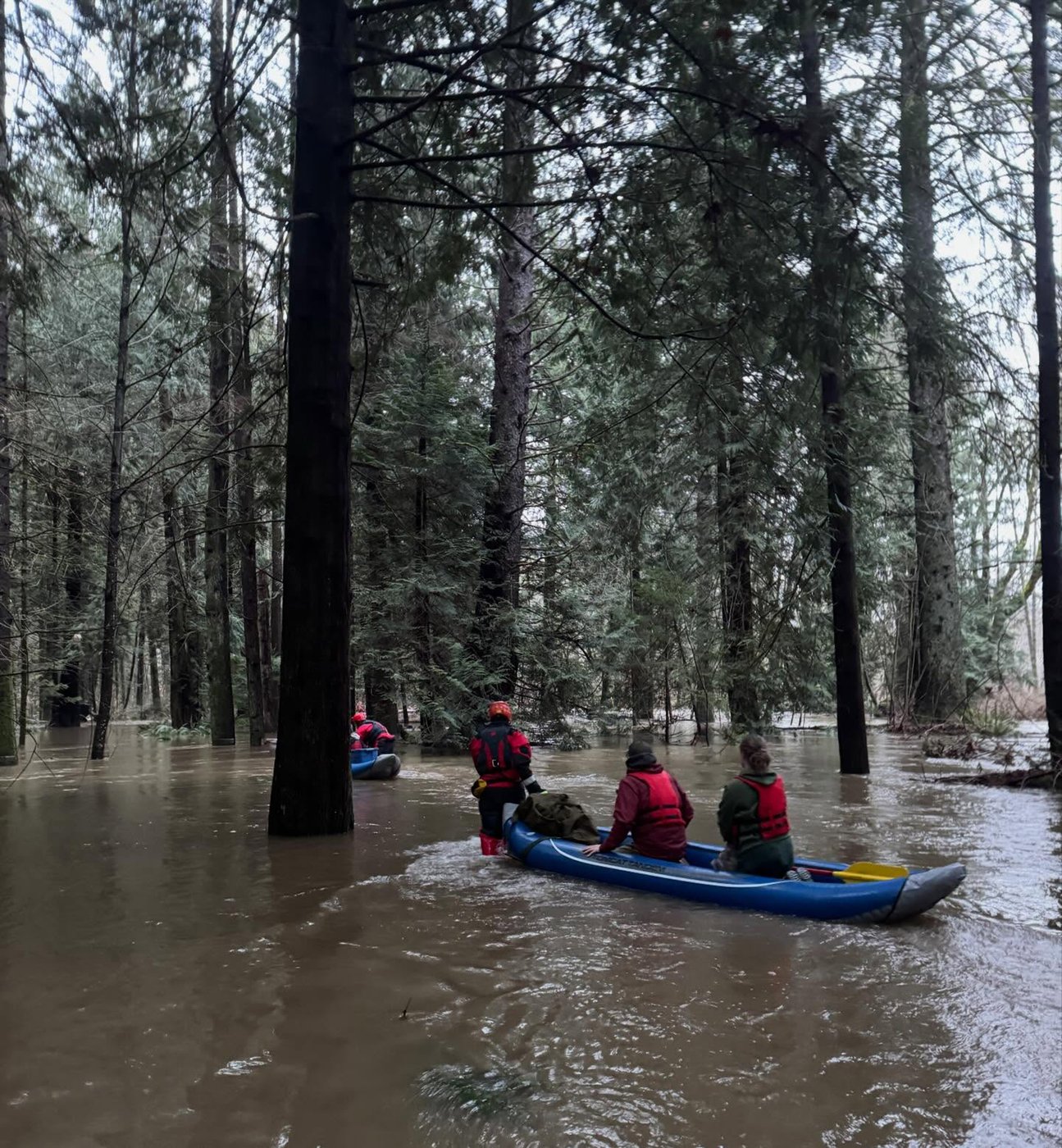 Vancouver Island rescuers helped people, sheep, dogs and cat after heavy rains | iNFOnews.ca