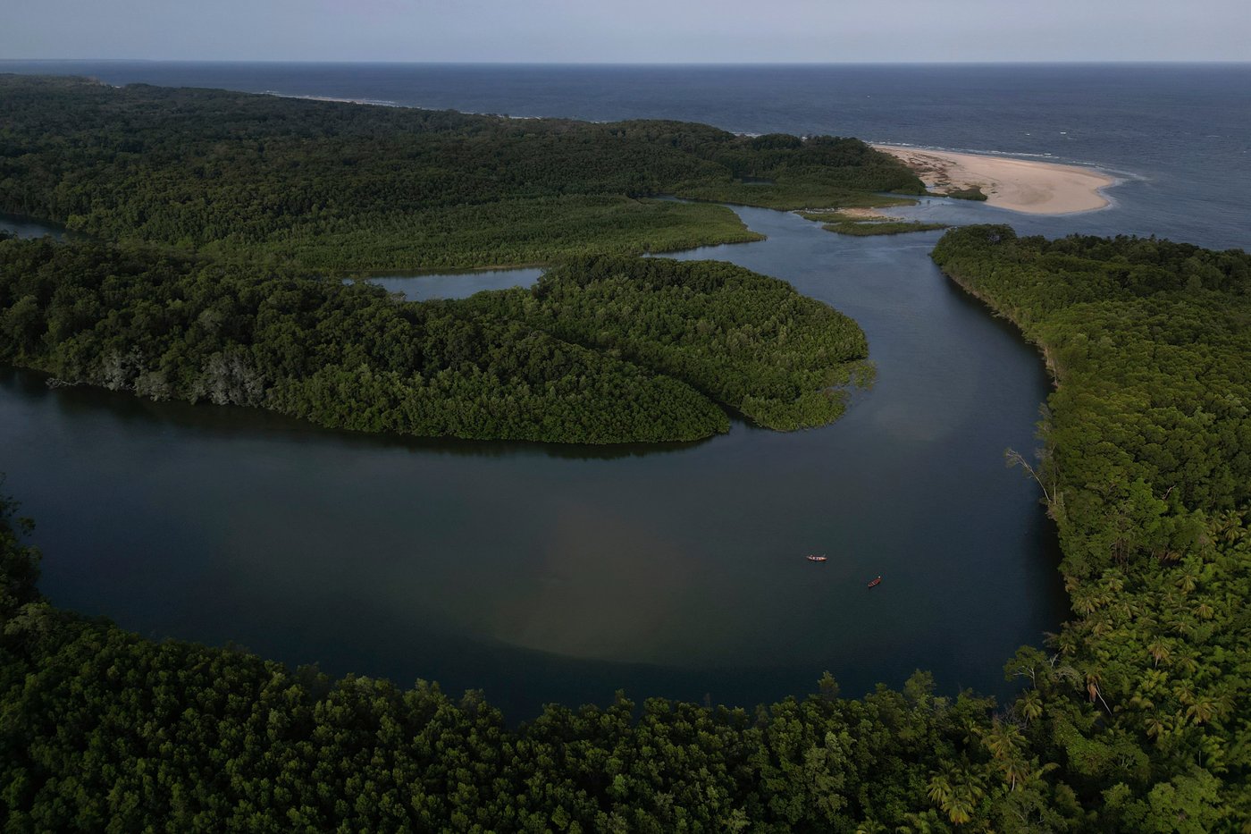 Brazil's Lula puts forward new vision for protecting the Amazon rainforest | iNFOnews.ca Brazil's Lula puts forward new vision for protecting the Amazon rainforest | iNFOnews.ca