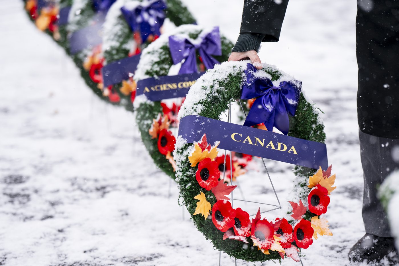 'It's about all of us': Armed Forces, veterans gather for Remembrance Day in Montreal | iNFOnews.ca 'It's about all of us': Armed Forces, veterans gather for Remembrance Day in Montreal | iNFOnews.ca