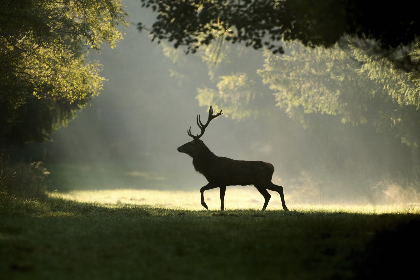 The top photos of the day by AP's photojournalists | iNFOnews.ca