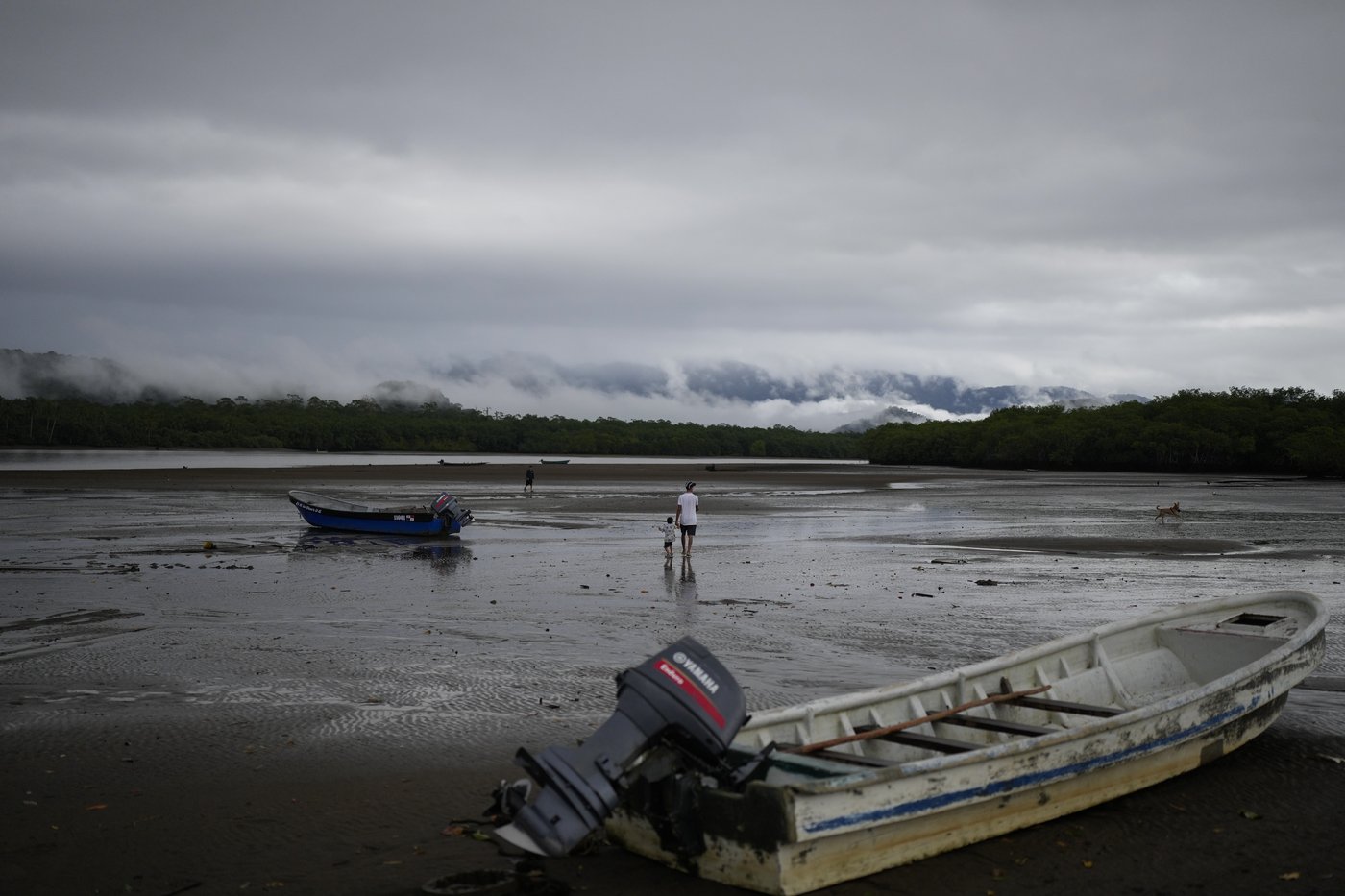 Venezuelans in 'reverse migration' pushed to new perils in effort to return home | iNFOnews.ca