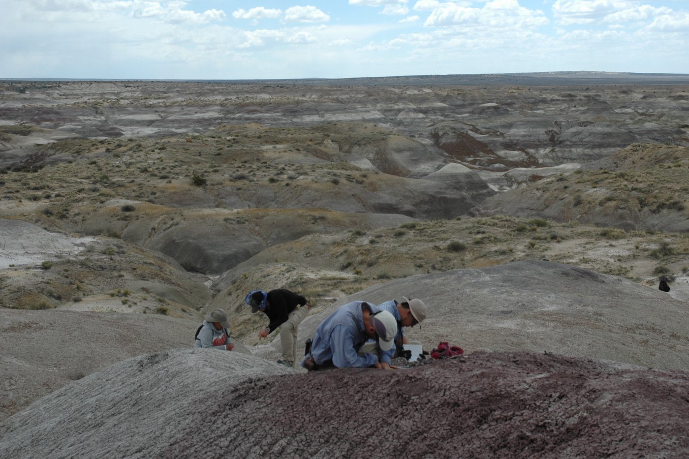 Dinosaurs were thriving in North America before the mass-extinction asteroid strike, study suggests | iNFOnews.ca Dinosaurs were thriving in North America before the mass-extinction asteroid strike, study suggests | iNFOnews.ca