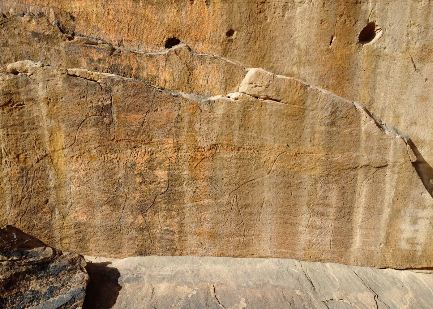 Scientists find ancient life-size animal rock carvings in the Saudi Arabian desert | iNFOnews.ca