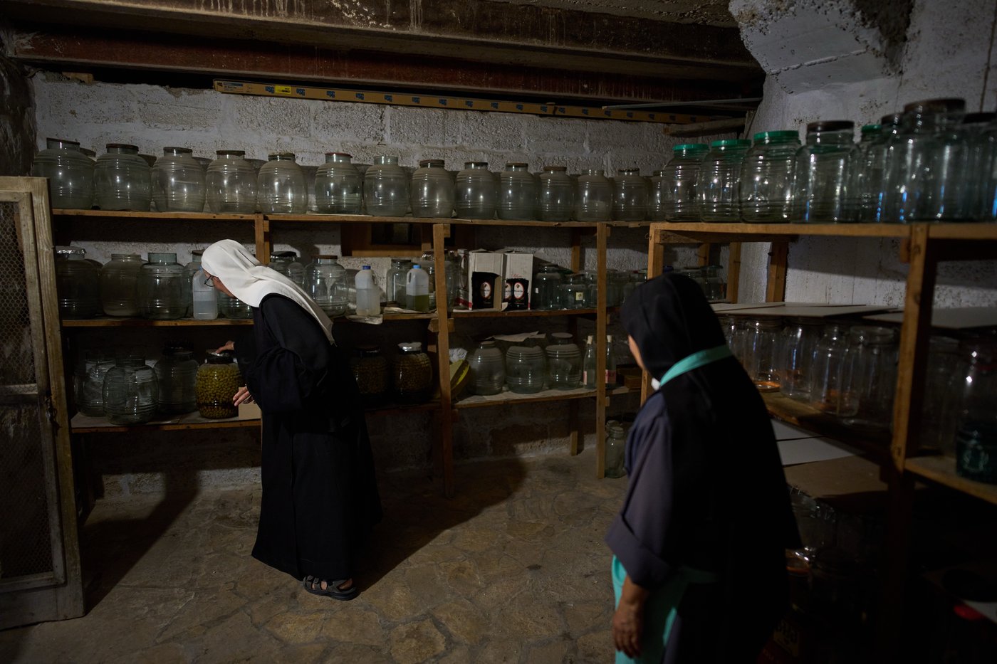 Photos show monks and nuns harvesting olives on the Holy Land’s Mount of Olives | iNFOnews.ca