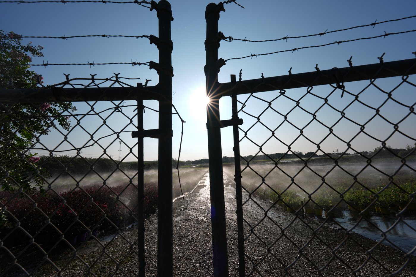 PHOTO ESSAY: An influx of immigrants boosted Orlando's economy but many now fear detention | iNFOnews.ca