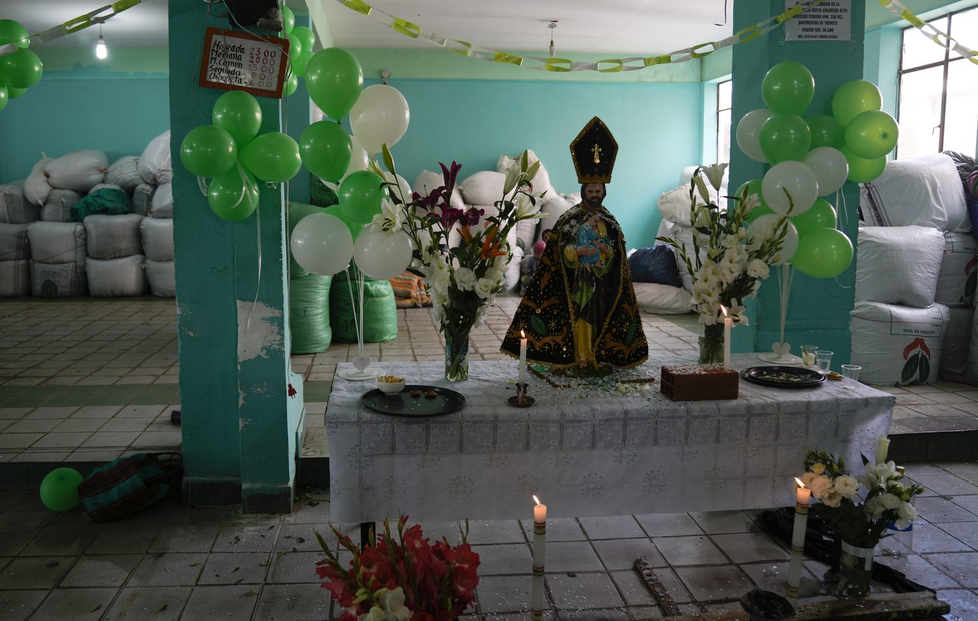 Coca leaves remain a source of work, faith and identity in Bolivia | iNFOnews.ca Coca leaves remain a source of work, faith and identity in Bolivia | iNFOnews.ca