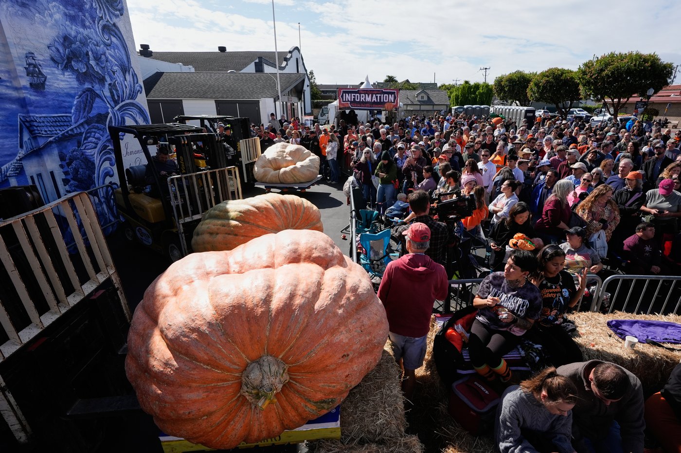 California engineer wins pumpkin contest with 2,346-pound gourd | iNFOnews.ca California engineer wins pumpkin contest with 2,346-pound gourd | iNFOnews.ca