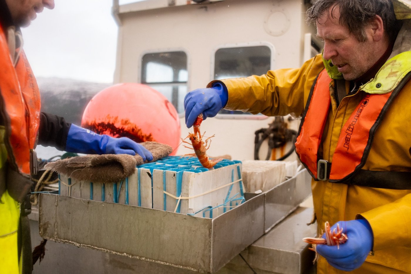 In Scotland, fishing trawlers scrape the seabed despite protection promises | iNFOnews.ca