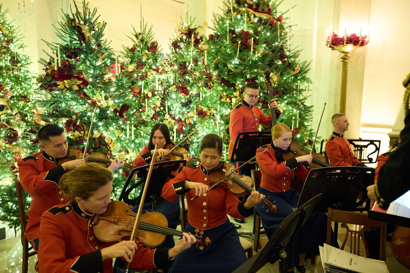 Photos from the White House's Holiday Prep | iNFOnews.ca