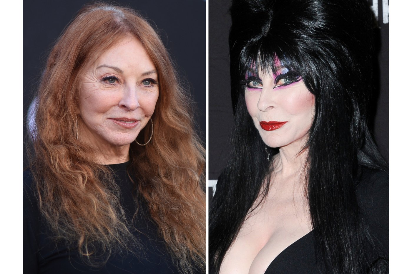 You can thank Elvis for Elvira, Cassandra Peterson says | iNFOnews.ca You can thank Elvis for Elvira, Cassandra Peterson says | iNFOnews.ca