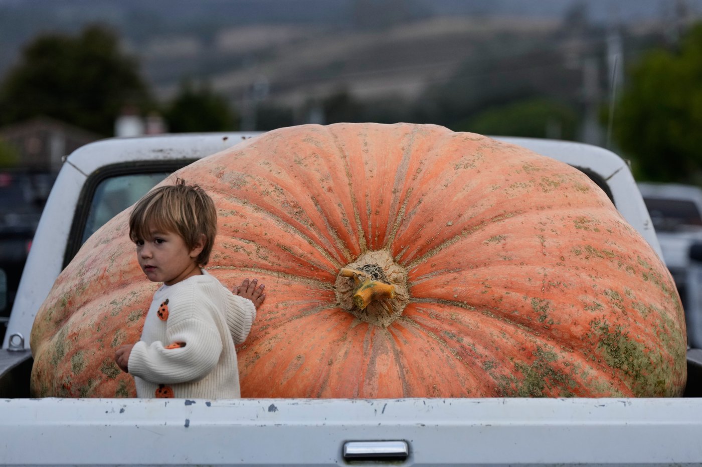 The top photos of the day by AP's photojournalists | iNFOnews.ca