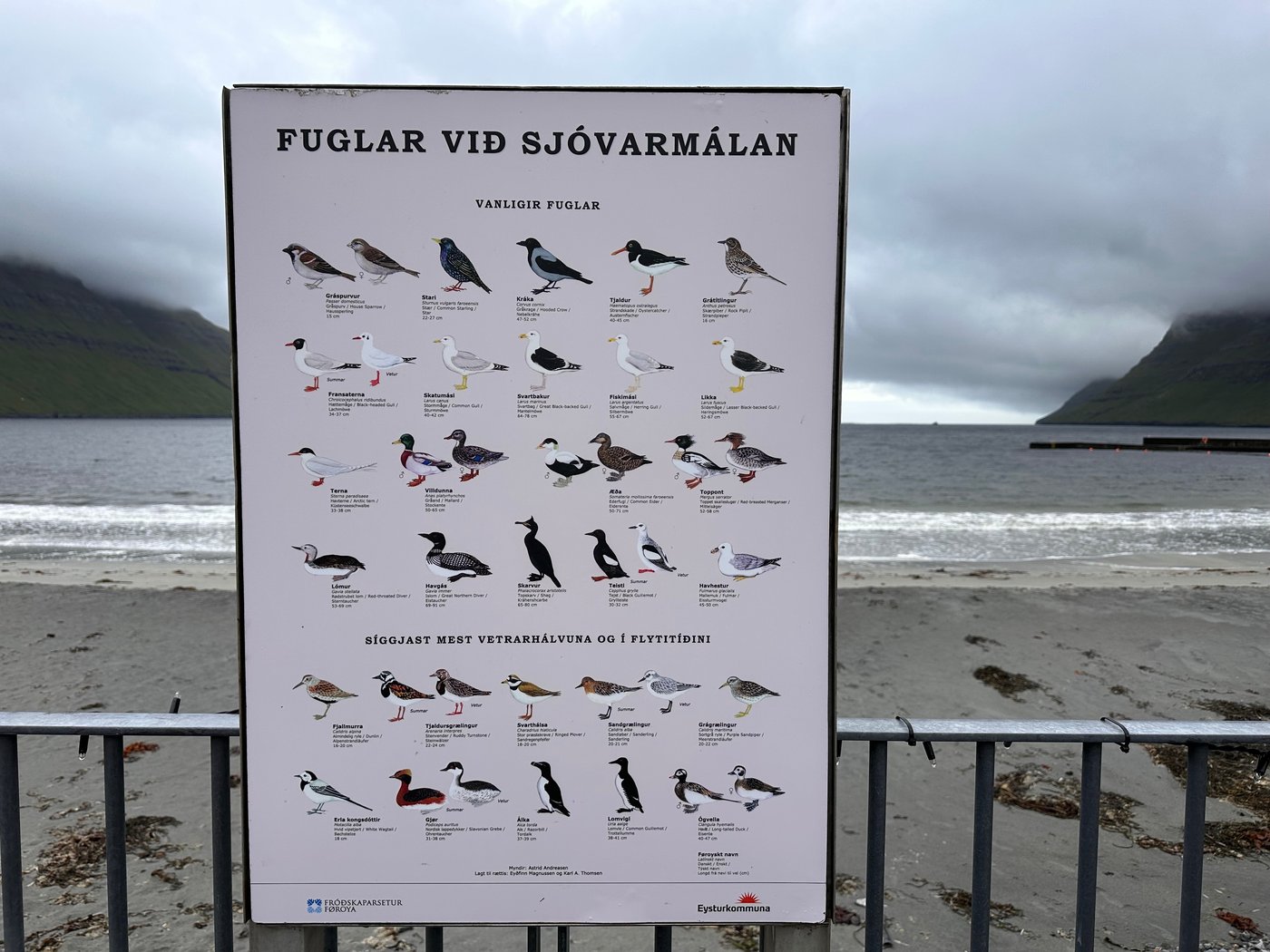 Prepare for wild weather and don't bother the sheep: What to know about visiting the Faroe Islands | iNFOnews.ca Prepare for wild weather and don't bother the sheep: What to know about visiting the Faroe Islands | iNFOnews.ca