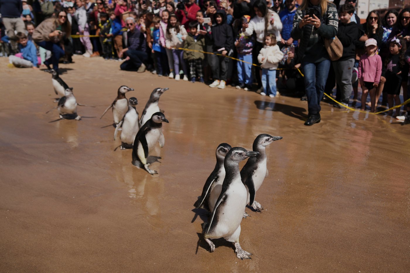 The top photos of the day by AP's photojournalists | iNFOnews.ca