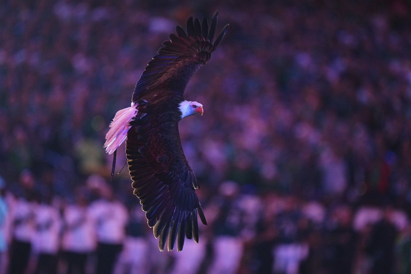 Top photos from the NFL season opener between the Philadelphia Eagles and the Dallas Cowboys | iNFOnews.ca