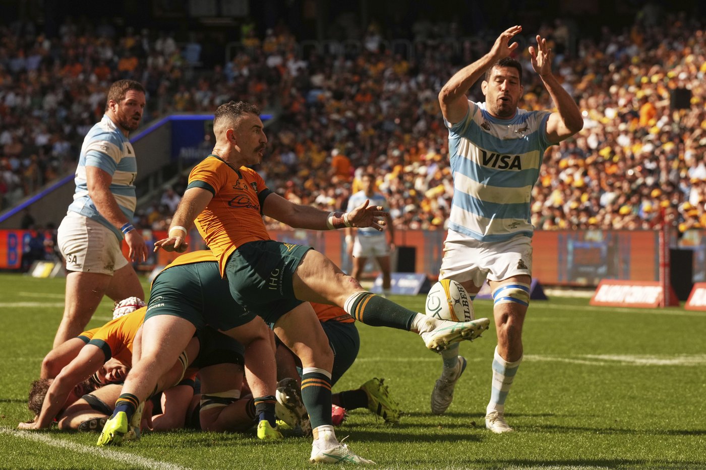 O'Connor called back from England to rejoin Wallabies for Bledisloe Cup test in New Zealand | iNFOnews.ca