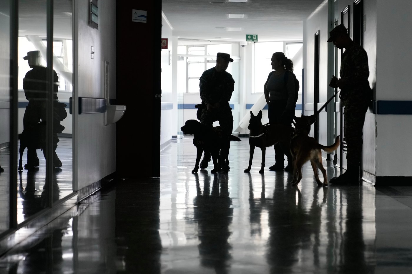 Colombian soldiers find solace in 'furry force' emotional support dogs | iNFOnews.ca