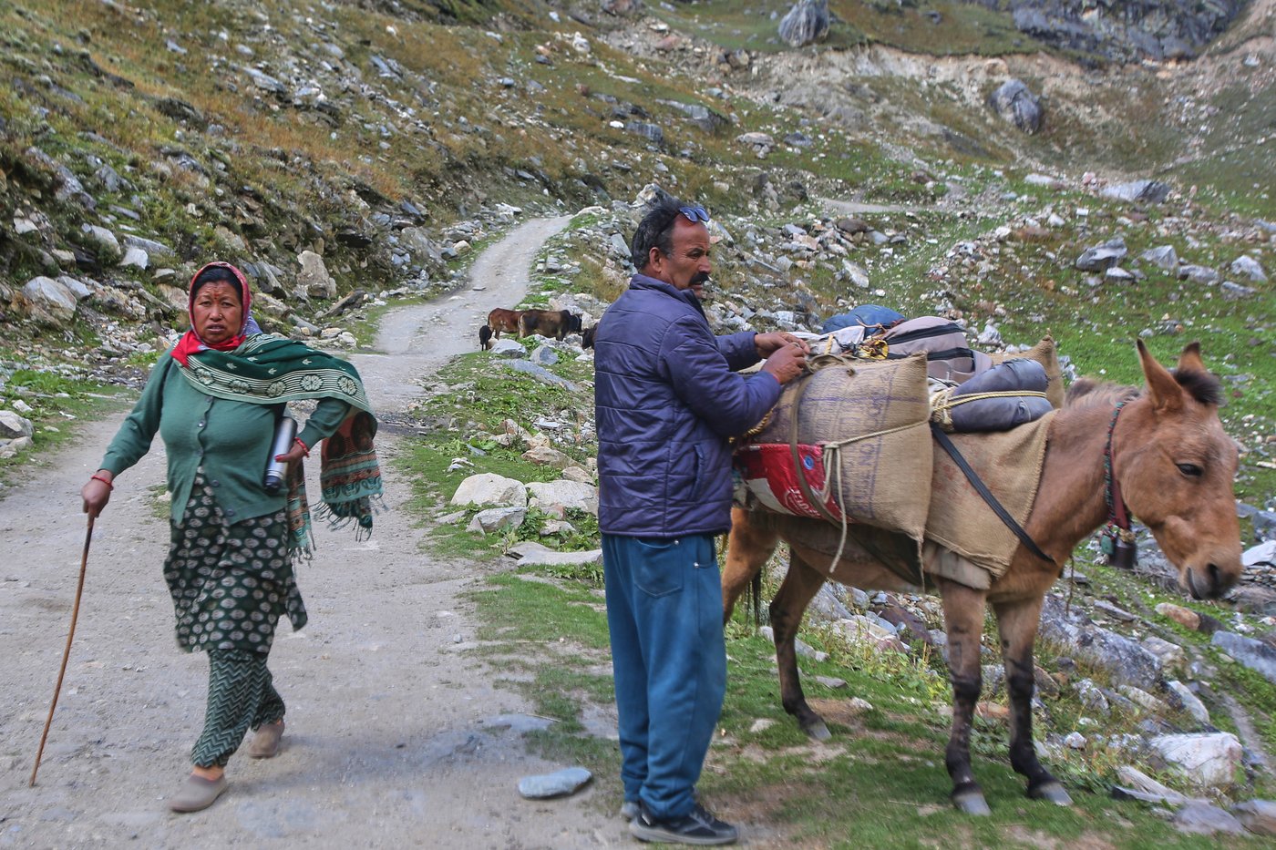 Photos show life slowly returning to abandoned Himalayan villages in India | iNFOnews.ca