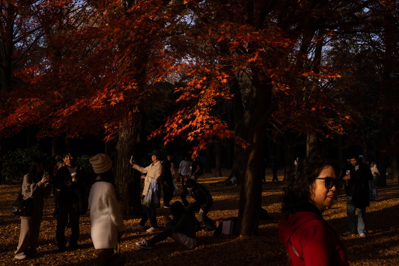 The top photos of the day by AP's photojournalists | iNFOnews.ca