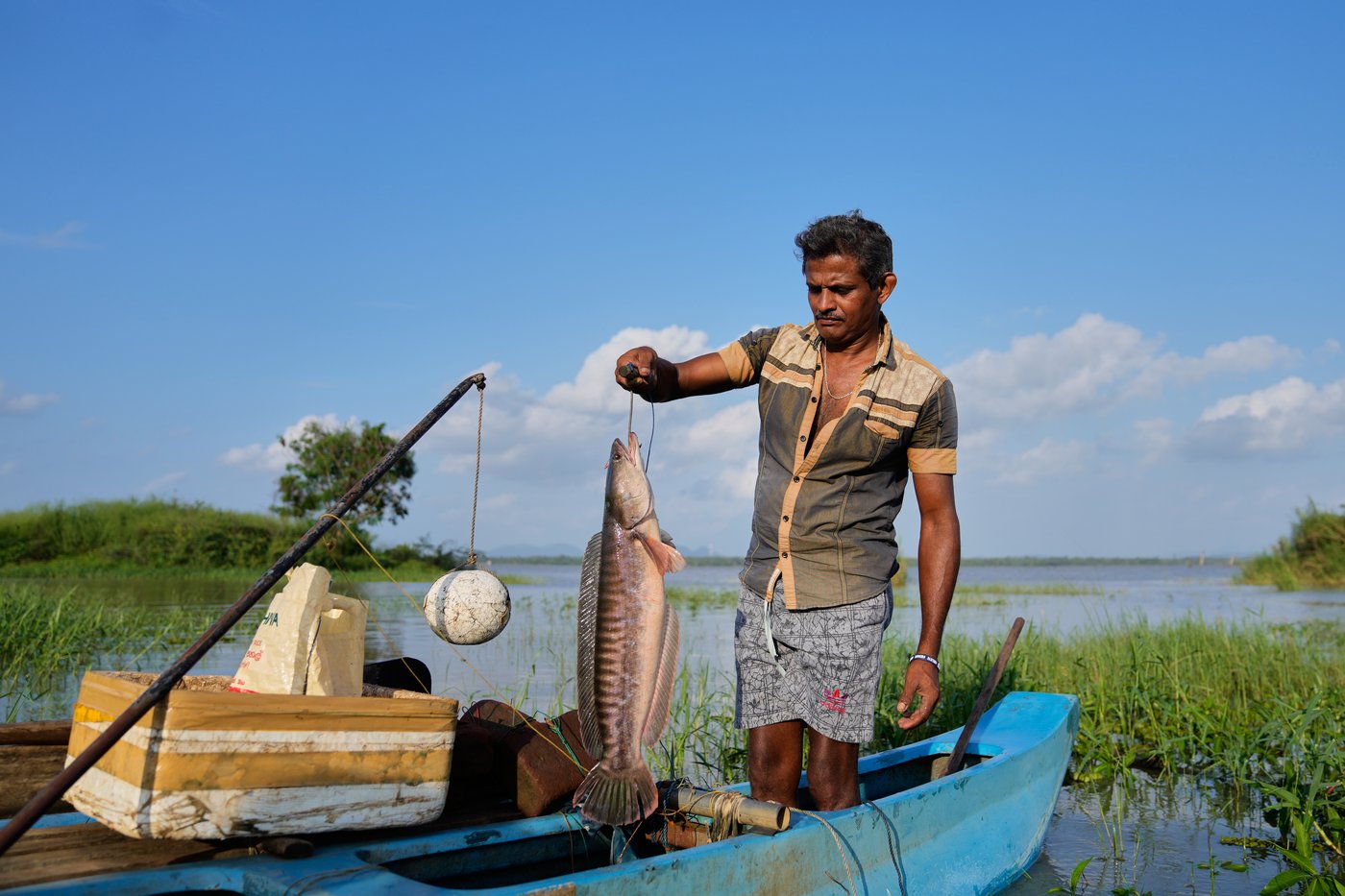 Sri Lankan freshwater fishers keen to turn invasive species threat into an opportunity | iNFOnews.ca