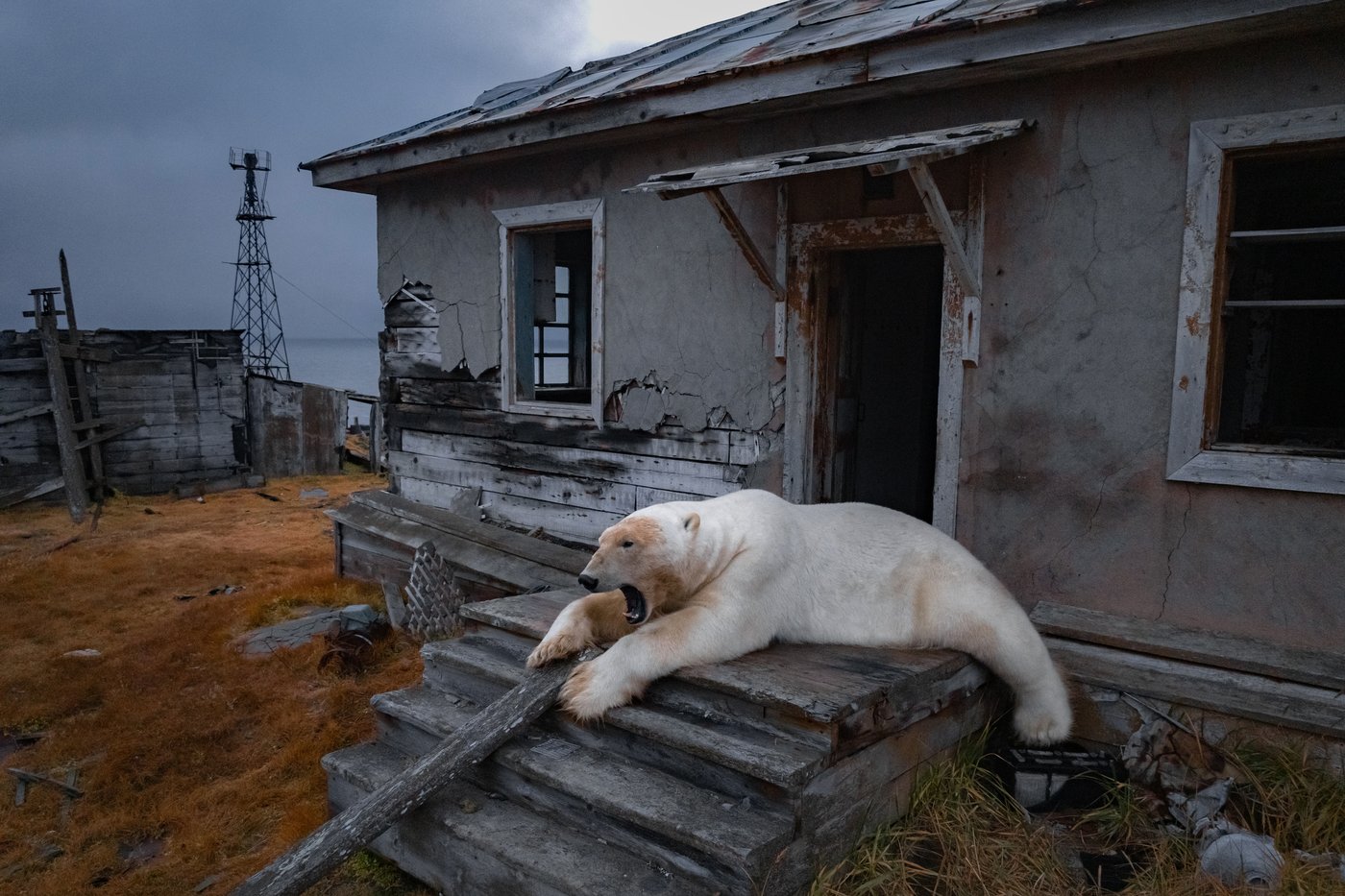 The top 100 photos of 2025 from The Associated Press: Images that defined the year | iNFOnews.ca