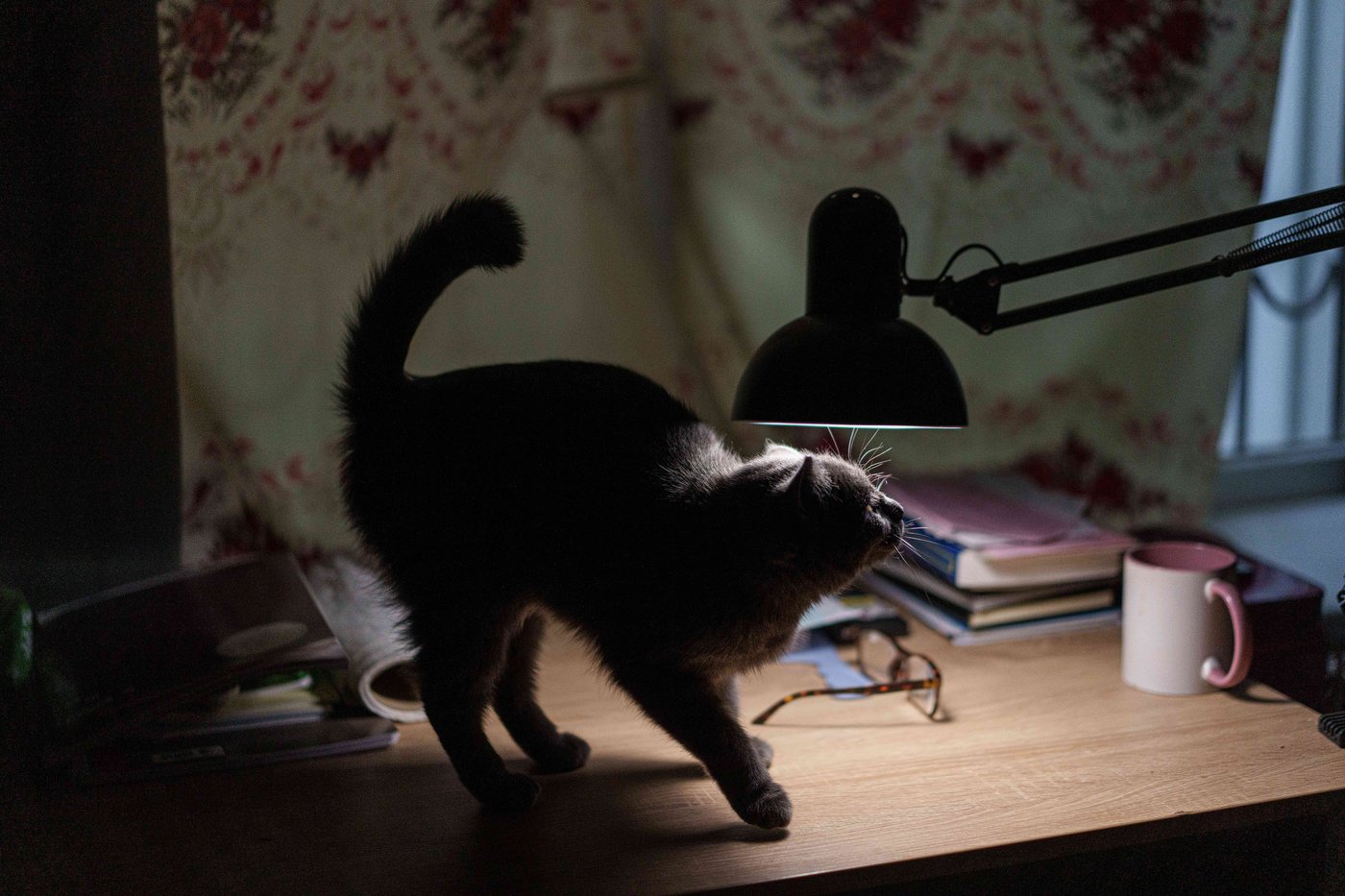 Photos from eastern Ukraine's shelters show the struggle of the internally displaced | iNFOnews.ca