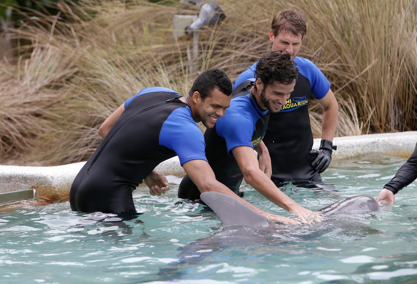 The cherished and controversial Miami Seaquarium closes its doors | iNFOnews.ca The cherished and controversial Miami Seaquarium closes its doors | iNFOnews.ca