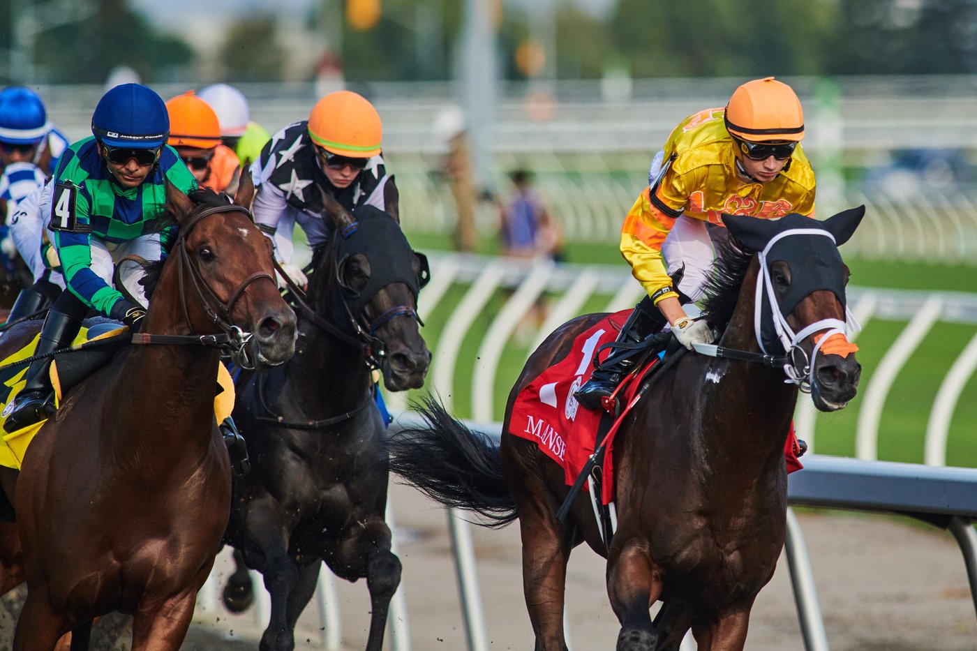 Plate champion Mansetti installed as early 2-1 favourite for Prince of Wales Stakes | iNFOnews.ca Plate champion Mansetti installed as early 2-1 favourite for Prince of Wales Stakes | iNFOnews.ca
