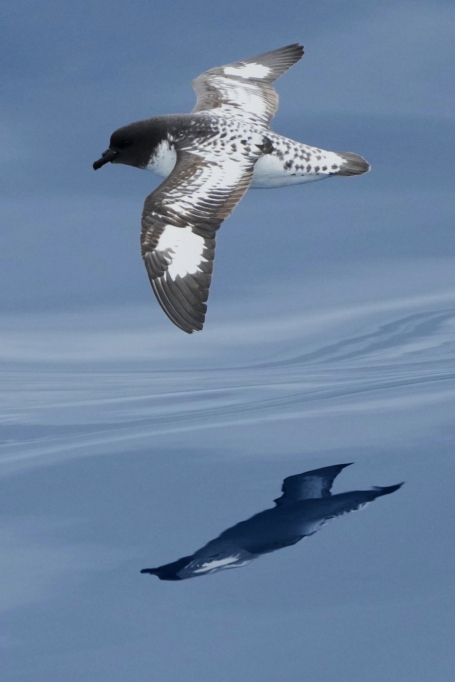 See the world in vertical: Top photos by AP photojournalists | iNFOnews.ca