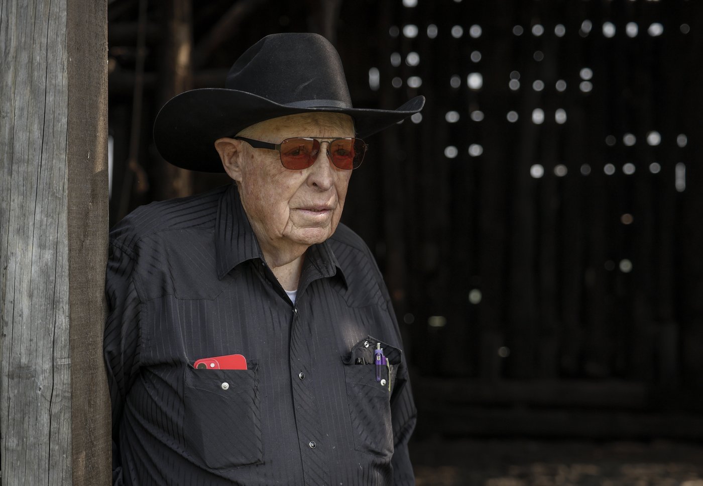 'Show will still go on': Legendary Alberta stuntman, animal wrangler to receive award | iNFOnews.ca