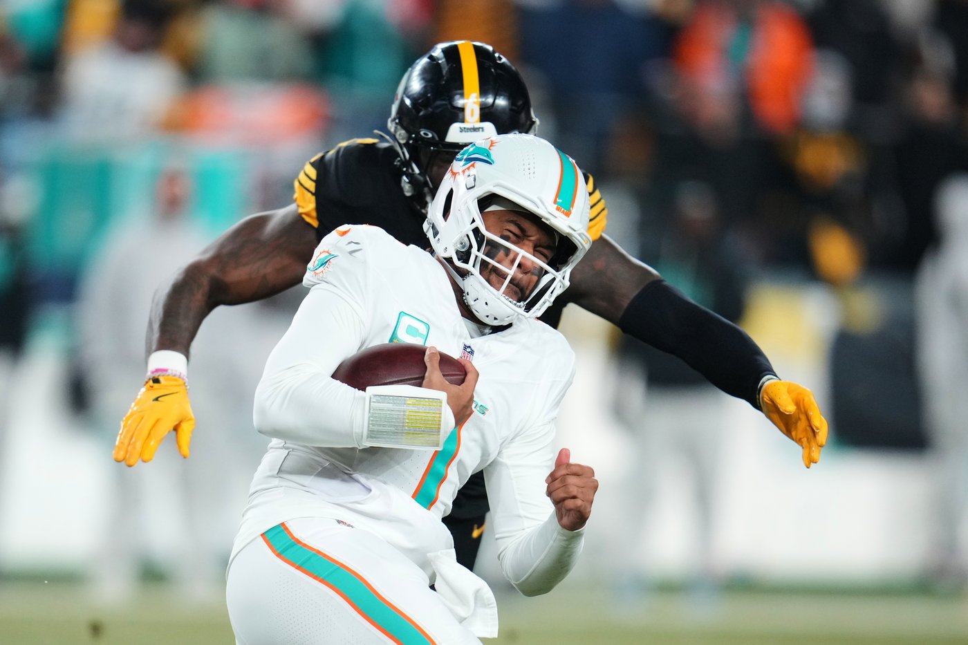 Aaron Rodgers and Steelers freeze out Dolphins, stay atop AFC North with 28-15 win | iNFOnews.ca Aaron Rodgers and Steelers freeze out Dolphins, stay atop AFC North with 28-15 win | iNFOnews.ca