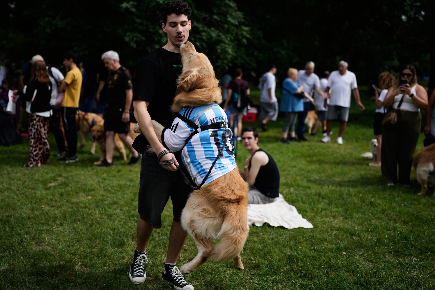 Photos of golden retrievers gathered in Buenos Aires for a world record attempt | iNFOnews.ca