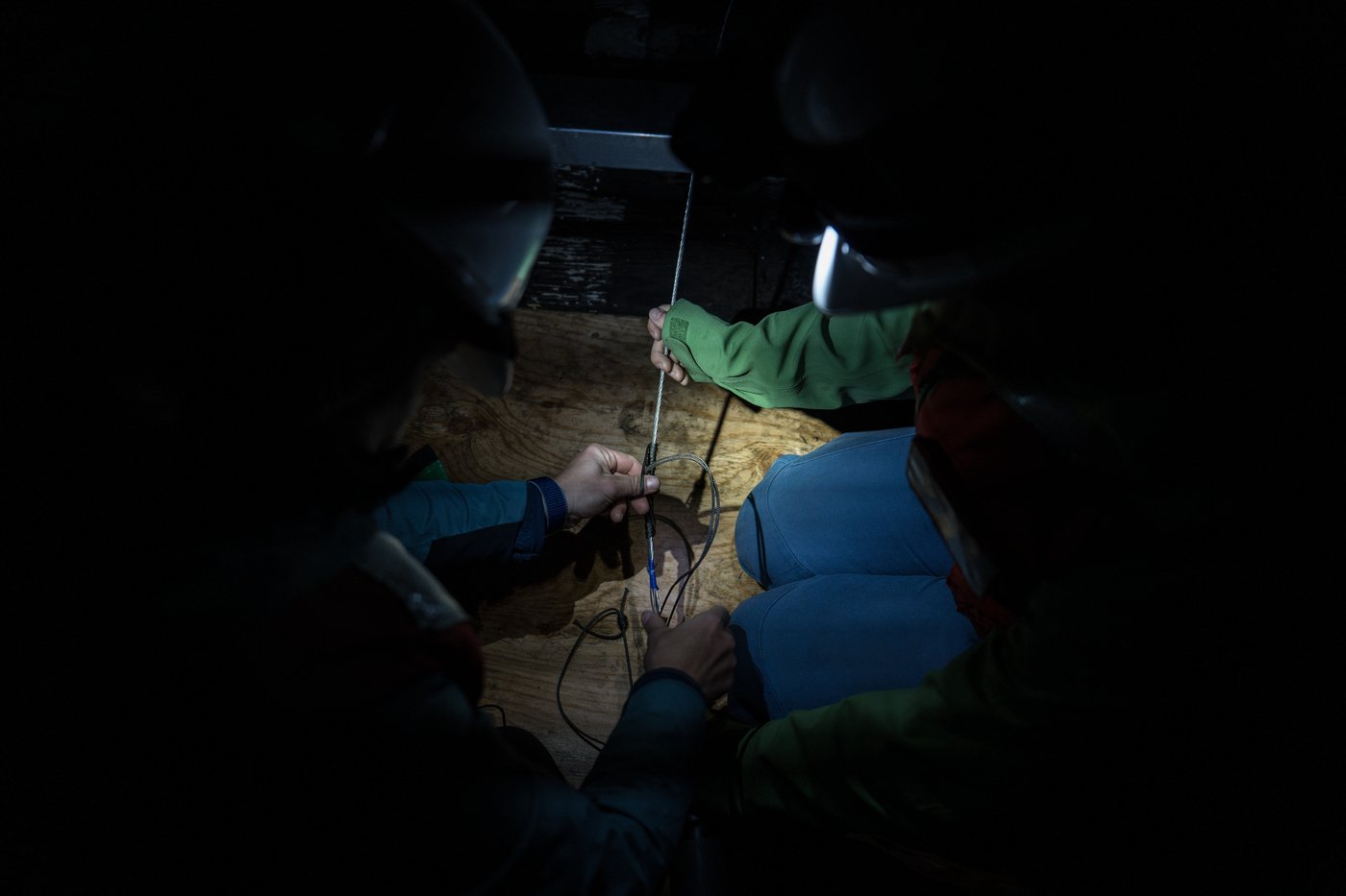 Scientists hope underwater fiber-optic cables can help save endangered orcas | iNFOnews.ca Scientists hope underwater fiber-optic cables can help save endangered orcas | iNFOnews.ca