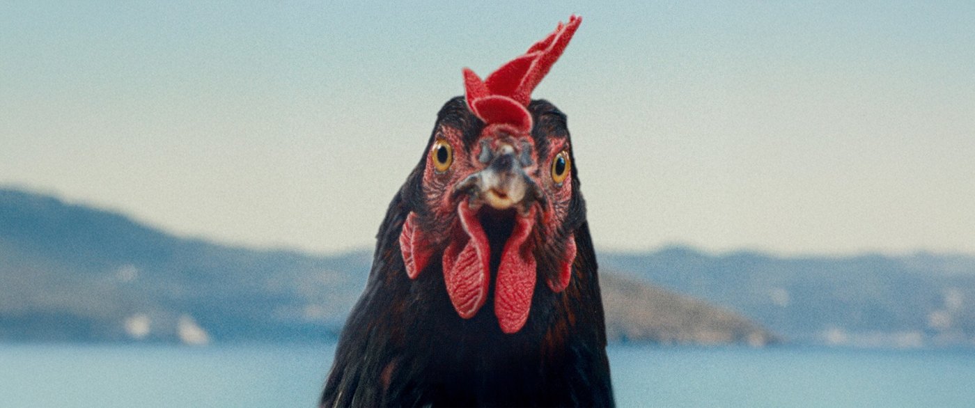 From European avant-garde to celeb-driven fare, here are 10 buzzy films coming to TIFF | iNFOnews.ca