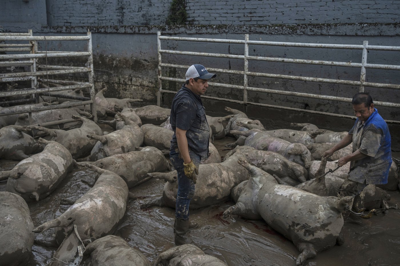 Photos of the aftermath of torrential rain in Mexico | iNFOnews.ca