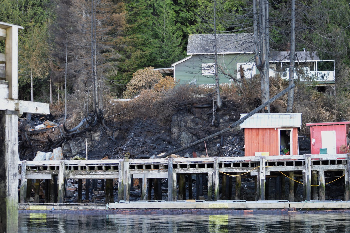Northern lights inspire recovery in Telegraph Cove, B.C., year after devastating fire | iNFOnews.ca