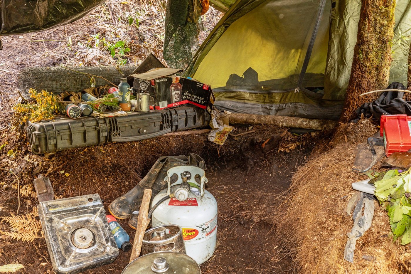 New Zealand launches major inquiry into case of father who hid his children in a forest for years | iNFOnews.ca