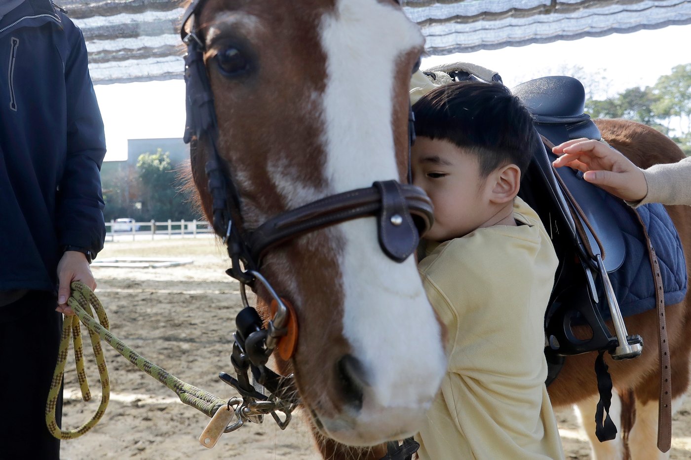 Children with disabilities find joy and support through horse therapy in Taiwan | iNFOnews.ca