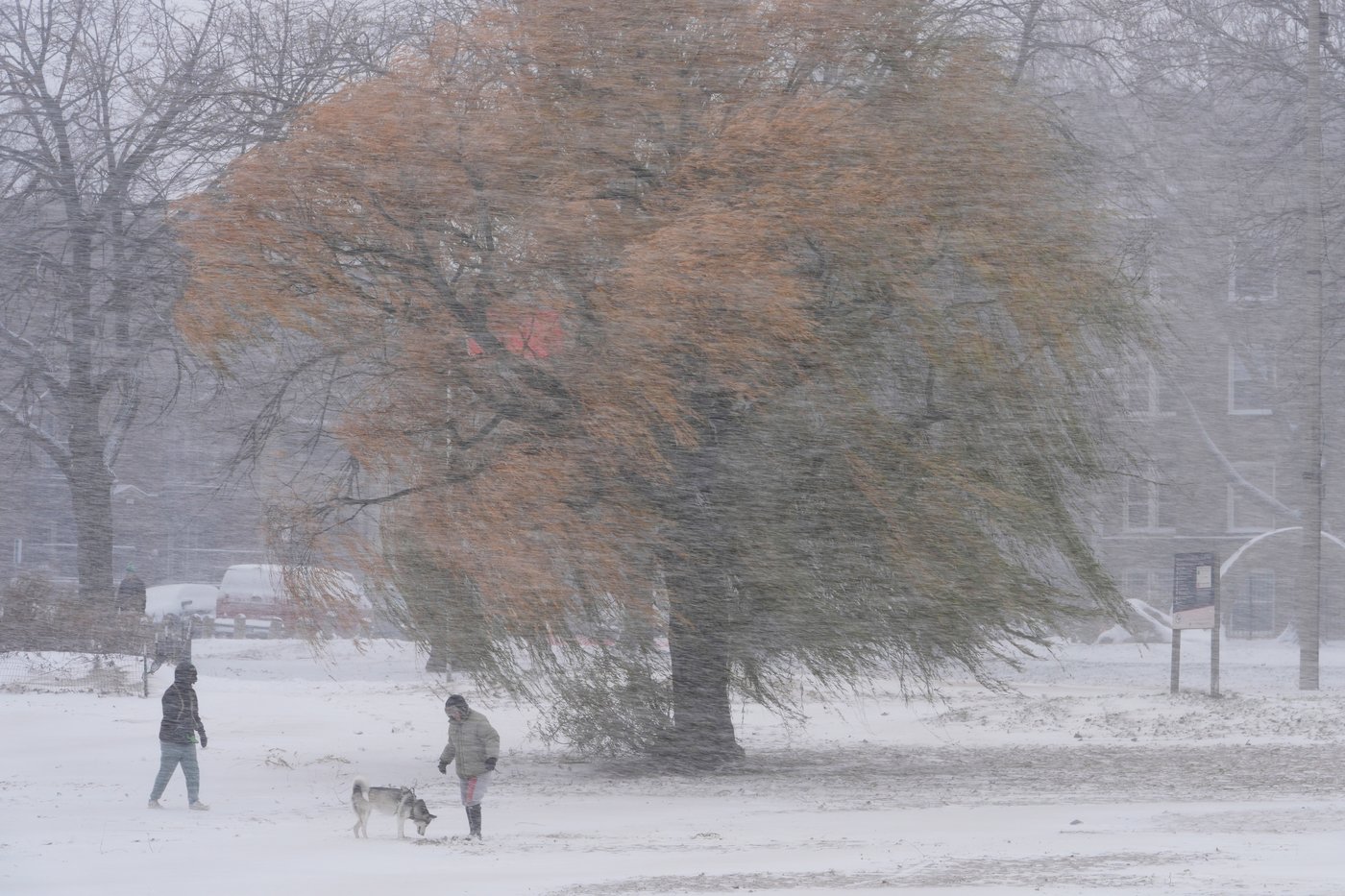 Photos of the first major winter storm blanketing the Northeast | iNFOnews.ca