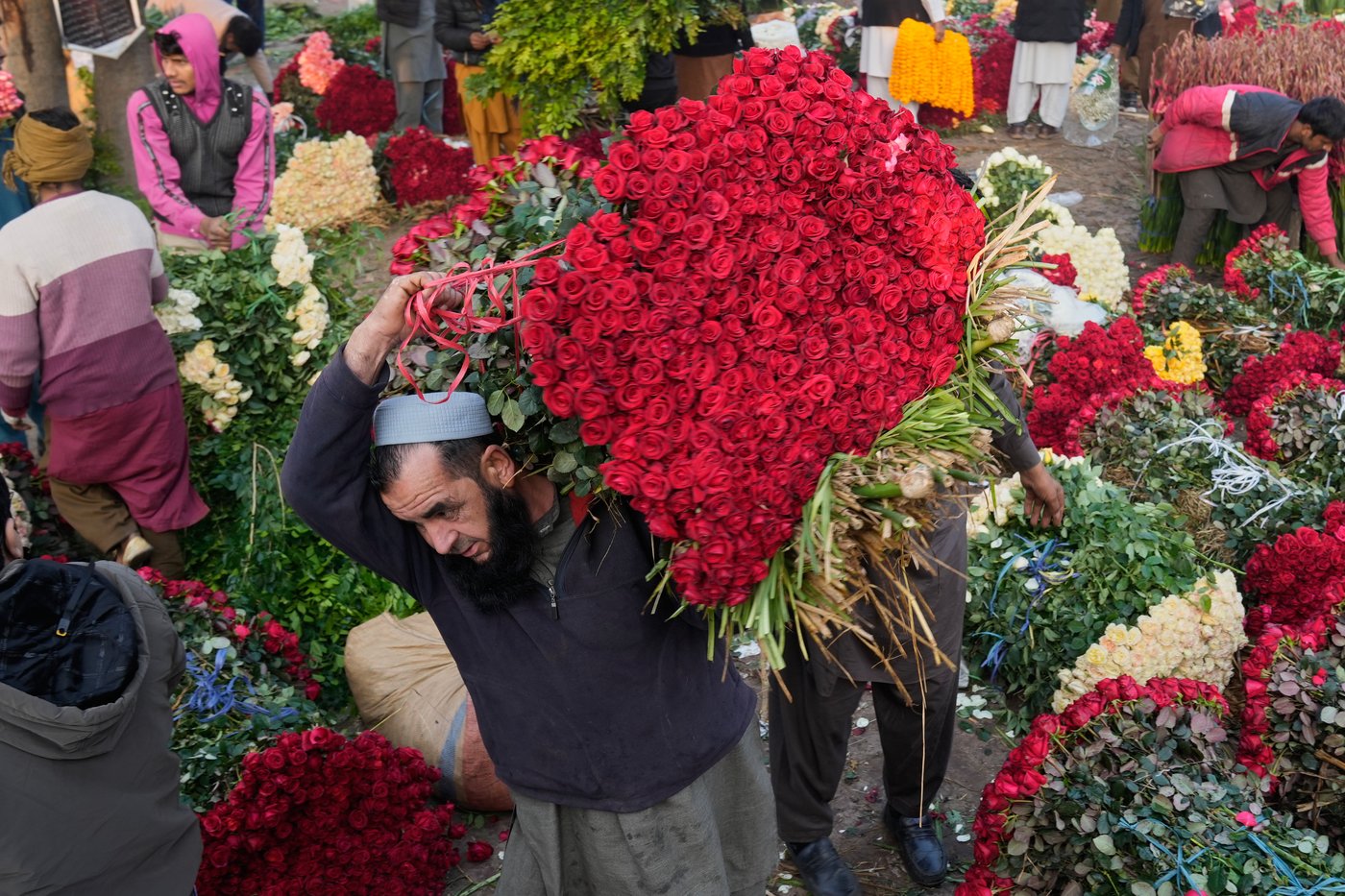 The top photos of the day by AP's photojournalists | iNFOnews.ca