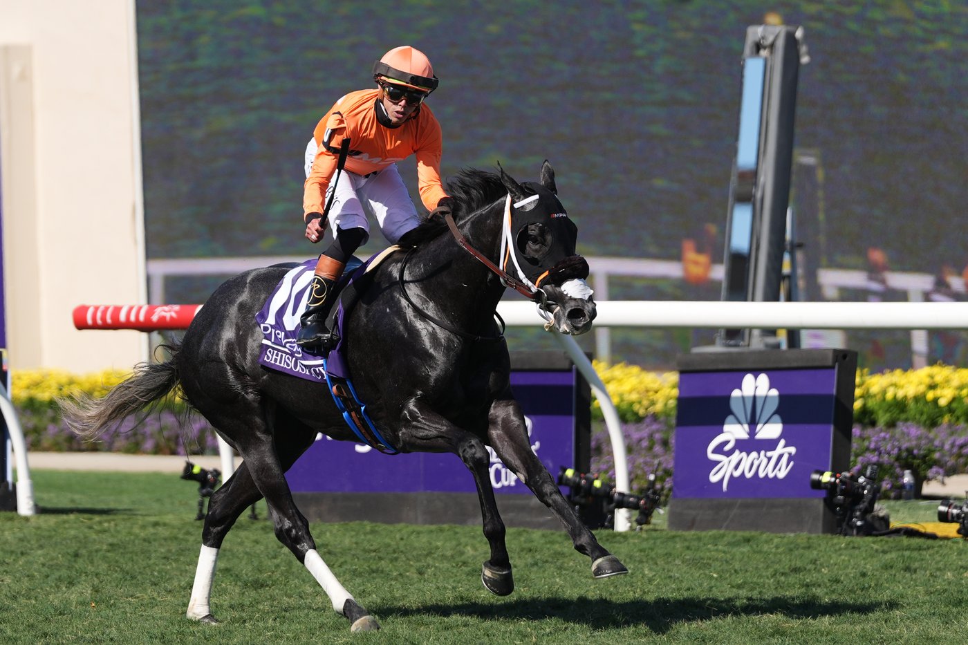 Forever Young beats defending champion Sierra Leone to win $7M Breeders' Cup Classic | iNFOnews.ca Forever Young beats defending champion Sierra Leone to win $7M Breeders' Cup Classic | iNFOnews.ca