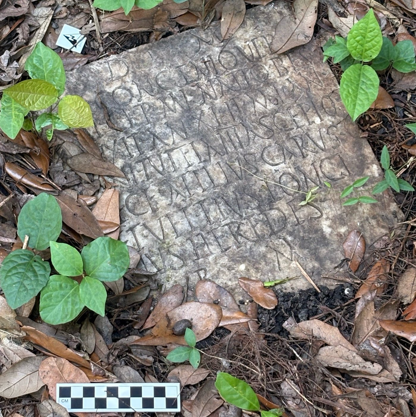 A long-lost ancient Roman artifact reappears in a New Orleans backyard | iNFOnews.ca A long-lost ancient Roman artifact reappears in a New Orleans backyard | iNFOnews.ca