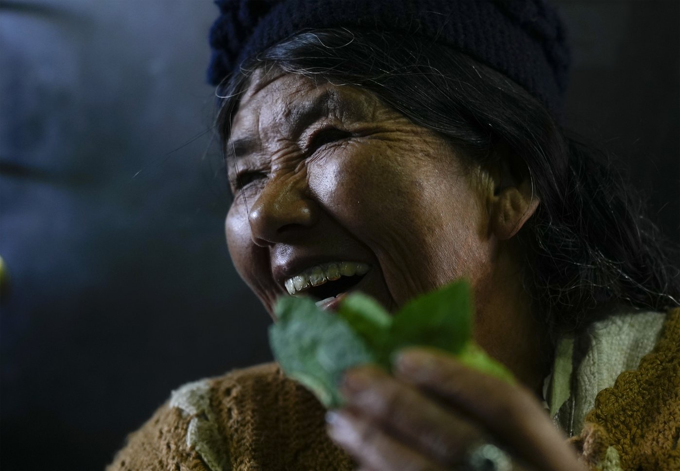 Coca leaves remain a source of work, faith and identity in Bolivia | iNFOnews.ca Coca leaves remain a source of work, faith and identity in Bolivia | iNFOnews.ca