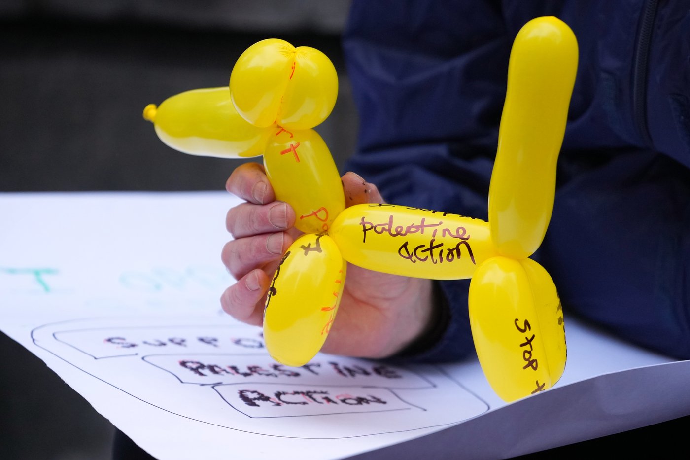 Protest group Palestine Action goes to court to challenge its ban by the UK government | iNFOnews.ca Protest group Palestine Action goes to court to challenge its ban by the UK government | iNFOnews.ca